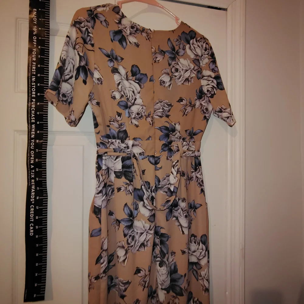 Sienna Sky Tan and Blue Floral Dress S New Nwot